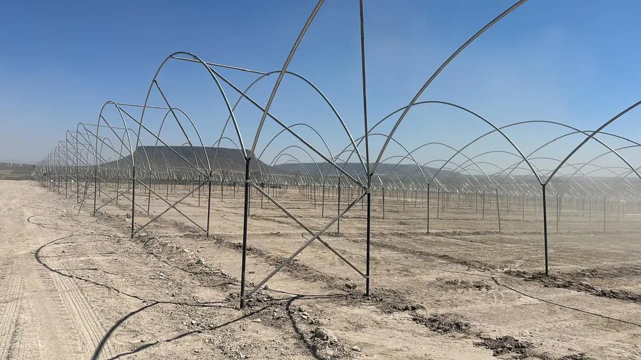 Caso de Estudio OV-M