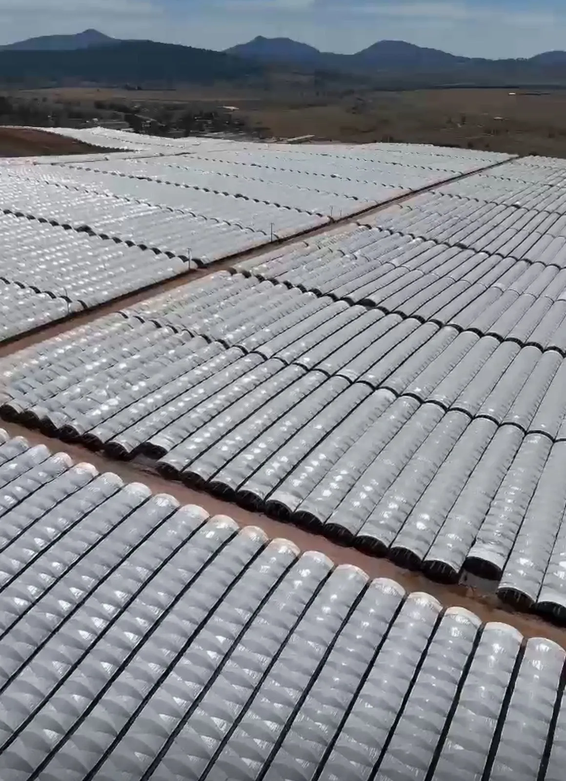 Caso de Estudio Macrotuneles