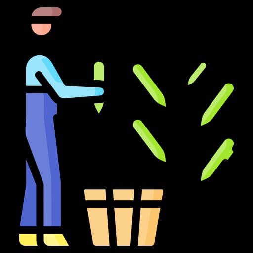 Aumento de cosechas por año y fuera de épocas tradicionales