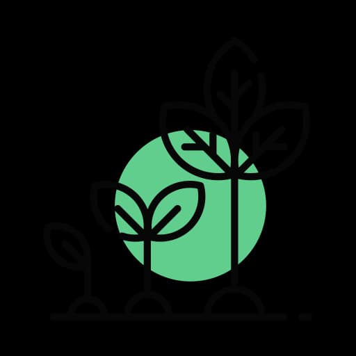 Desarrollo de las plantas mayor y acelerado