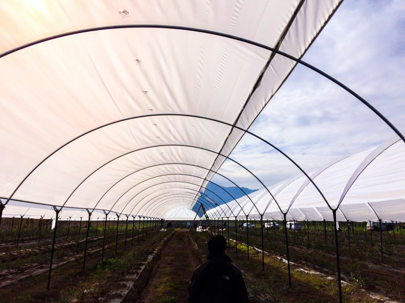 Macrotunel con Apertura