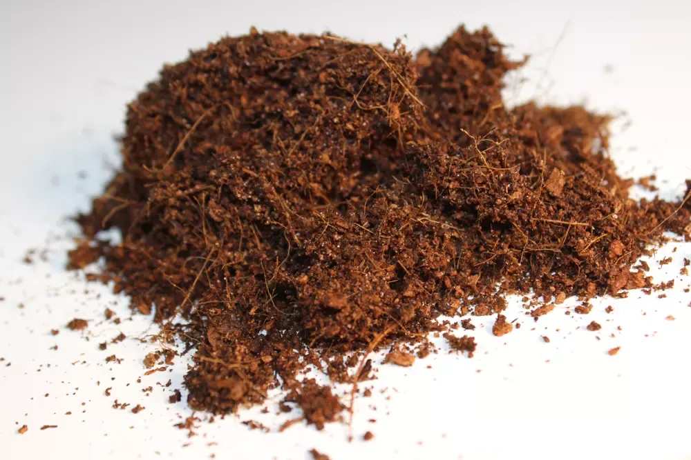 Sustrato de coco nacional